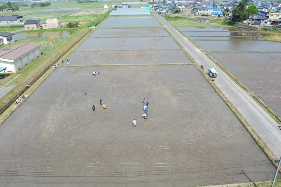 10174809_566942240090860_5225422120077395577_n