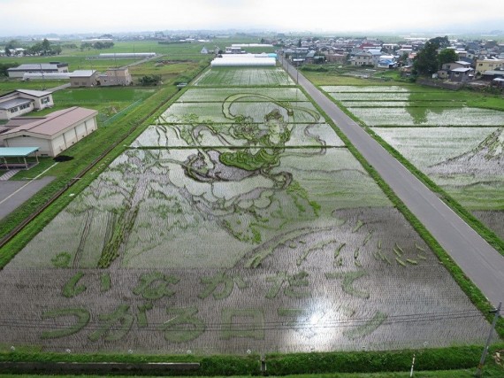 10341437_578769105574840_2810256389164544984_n