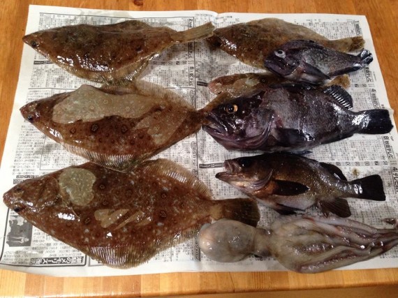 10559798_511061929026395_50061647560571596_n